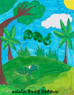 බබල් KSM Wijesinghe 08.02.2025 - suranga wijesinghe.png